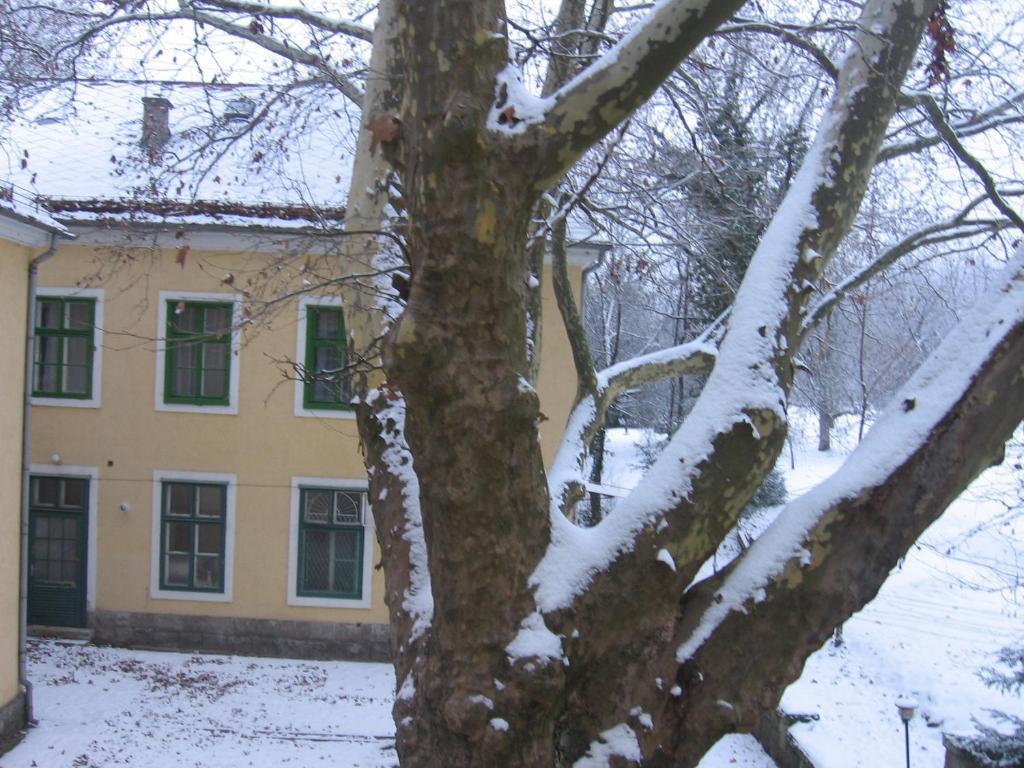 Mater Salvatoris House Hotel Godollo Exterior photo